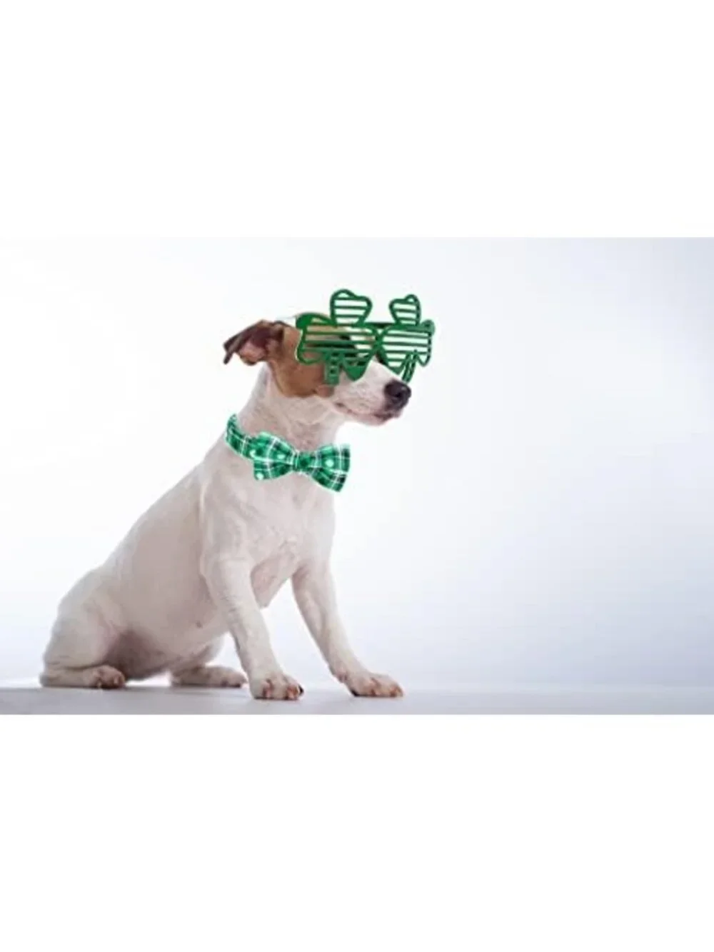 St. Patrick's Day Dog Collar with Bowtie, Green Shamrock Clover, Adjustable M